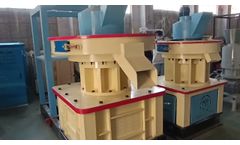 High Efficiency Biomass Wood Sawdust Rice Husk Straw Wood Pellet Mill Pelletizer Machine - Video