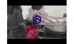 Strawberry processing line/Strawberry processing machine/Strawberry dryer/Strawberry drying process - Video