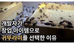 How To Breed & Raise Crickets In Korea / Korea Farm, Smartfarm - Video