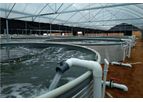 STARAQ - Recirculating Aquaculture System