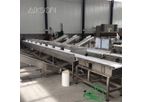 Model CWS-400-8 Double Channel - Double Channel Fish Sorting Machine