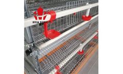 HuaXing - OEM Poultry Chicken Cage for up to 25000 Layers