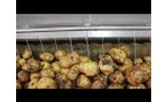 Vegetable potato washing cleaning machine brush roller washing machine - Video