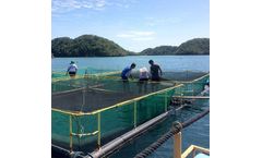 Aquaculture Netting