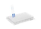 Model Mouse IgG Fc - Lateral Flow Dipstick Assay Kit