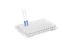 Model Mouse IgG Fc - Lateral Flow Dipstick Assay Kit