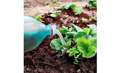 Organic Fertilizer For Gardens