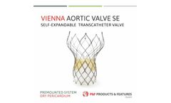 Vienna Aortic Valve Flyer