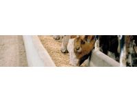 Animal Feed Services