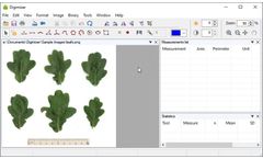 Digimizer - Easy-To-Use Image Analysis Software