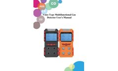 Weiguo - Model WGP 840 - Portable Voice Type Single Gas Detector- Brochure