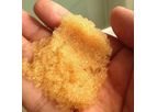 Tianxing-Ion - Model HPWA-200 - High Purity Water Special Strong Base Anion Exchange Resin