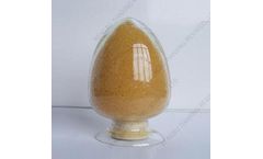 Tianxing-Ion - Strong Base Anion Exchange Resin