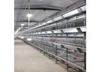 Silver Star - Model YXHB4-192 - Automatic H Type Battery Cage For Broilers Chicken Poultry Farming Equipment