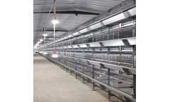 Silver Star - Model YXHB4-192 - Automatic H Type Battery Cage For Broilers Chicken Poultry Farming Equipment
