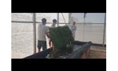 Collita aquaponia (IRTA 2021) - Video