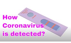 Fight COVID19 Animation : How Coronavirus is Detected ? - Video