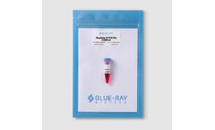 Model BlueAmp 2X - PCR Mix