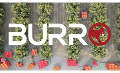 Burro in Citrus - Video
