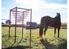 Horse Hay Racks