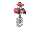 Darhor - Model DHDV-P - Pneumatic Stainless Steel Butterfly Valve