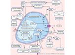 Alfa Cytology Introduces Molecular Biology Services for TME Research