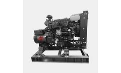 Wildcat Frontier - Light Commercial Gensets