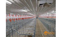 Gestation Crates For Sow