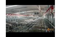 Mus Agro: Professional Pig Crates Manufacturer From China - Video