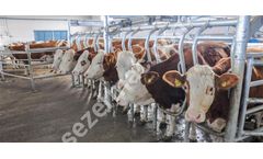 SEZER - Cow Milking Systems