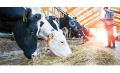 SEZER - Model VLS/N - Milk Meters for Conductivity and Mastitis Detection