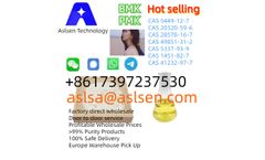 Aslsen - Model CAS 49851-31-2 - High-quality factory direct supply 2-BROMO-1-PHENYL-PENTAN-1-ONE CAS 49851-31-2