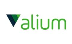 Alium - Standard Battery Pack