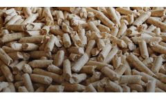 Wood Chip Boilers: Harnessing Biomass Fuel For Heat & Power