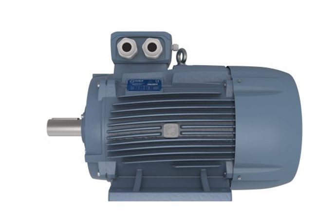 Motive DELPHI - Three Phase Motors Size 160-355