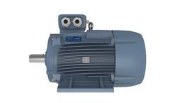 Motive DELPHI - Three Phase Motors Size 160-355