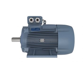 Motive DELPHI - Three Phase Motors Size 160-355