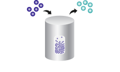 Fluidized Bed Reactor