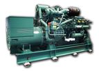 Cogeneration (CHP) Unit