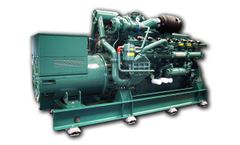 Cogeneration (CHP) Unit