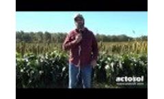 Introducing Actosol, An Organic Biostimulant plus Fertilizer - Video