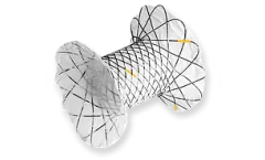 Mitra - EUS Guided Pancreatic Stents