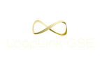 LoopLink - Version GSE - Performance Estimation Engine Software