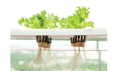 Water Treatment for Hydroponics Industry