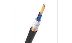 Panyu - Model AWM 2464 - PVC Insulated and Flexible Sheath Shielded Signal Cable