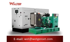 Walter - 50HZ 100kVA Cummins Engine Diesel Generator