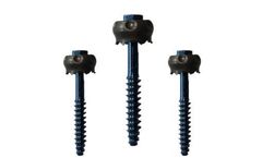 Cerebro - Facet Screw System