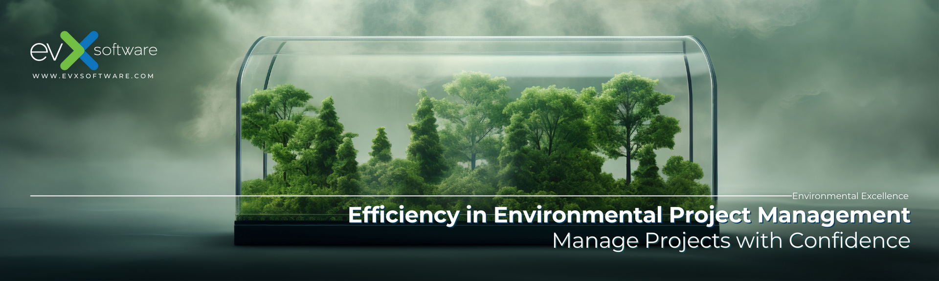 EVX Software - Project Management Software
