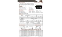 Champion Power - Model 6FM12 12V12Ah - Small AGM Battery - Brochure