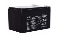 Champion Power - Model 6FM12 12V12Ah - Small AGM Battery